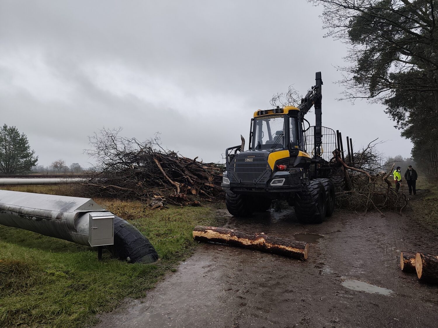 Seit Dezember 2025 erfolgen wieder Gehölzarbeiten mit dem Ziel der Entwicklung eines heimischen Laubwaldes im Gebiet. Angrenzend an die Landstraße L 138, am westlichen Waldrand wird die Gehölzentnahme der ausbreitungsstarken, nicht heimischen Späten Traubenkirsche fortgesetzt. Hierzu ist in diesem Winter ein 600 m langer Abschnitt durch #RodenbergForst-undLandschaftspflege in Bearbeitung. Wir bitten um Verständnis, dass anfallendes Holzmaterial bis zum Abtransport in den kommenden Wochen auf dem Parkplatz der Jägersburger Heide lagert.