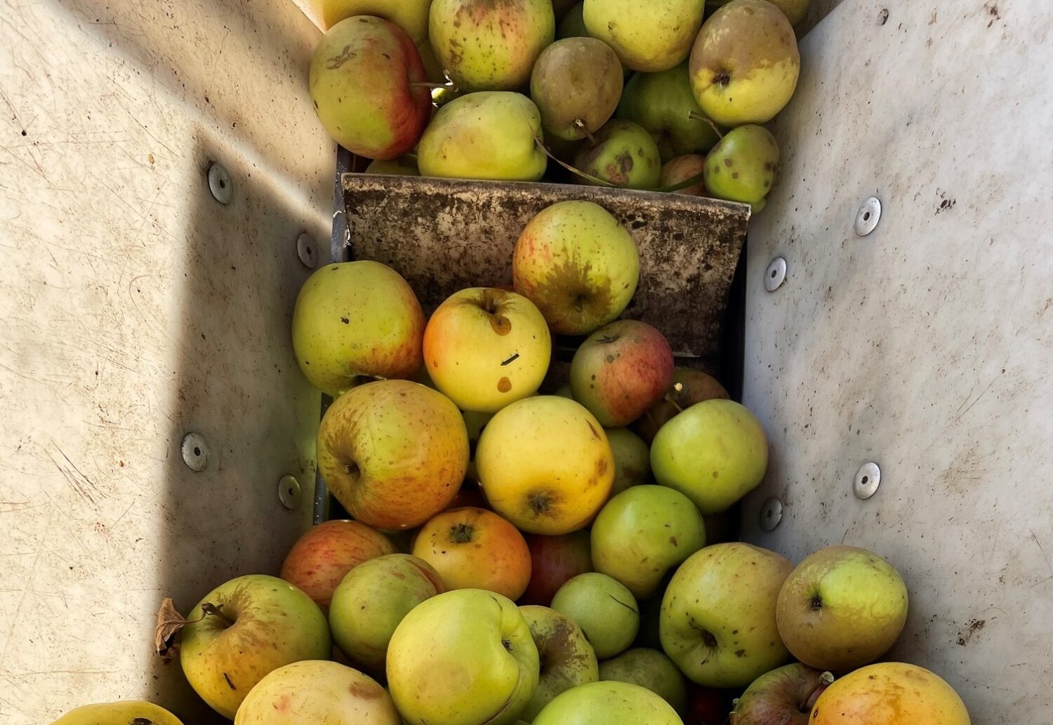 Die mobile Obstpresse von Jens Holthusen aus Husum kommt auch in diesem Jahr wieder zu uns nach Hemmingstedt.