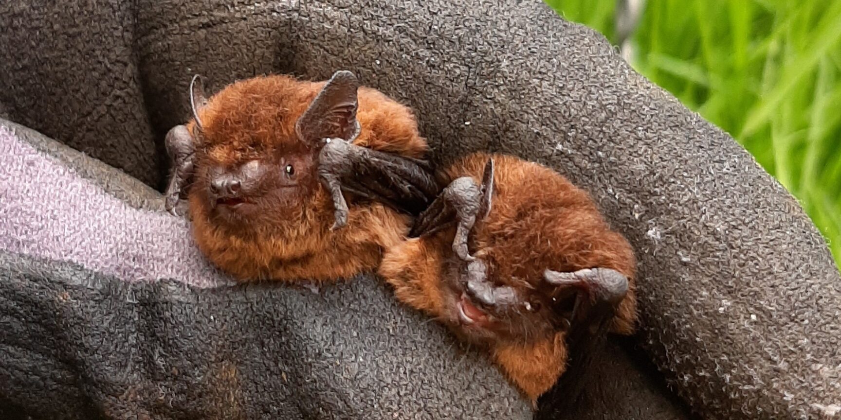 20230803 172146 Kopie