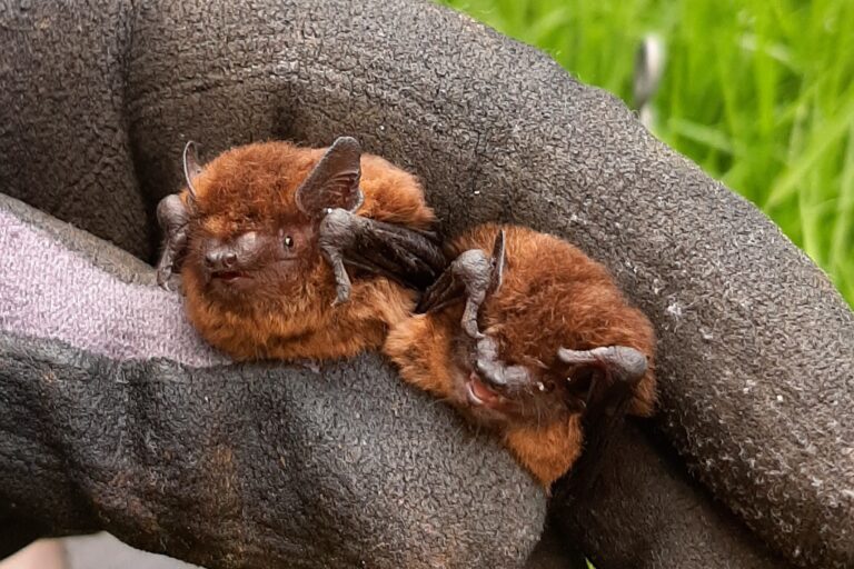 20230803 172146 Kopie