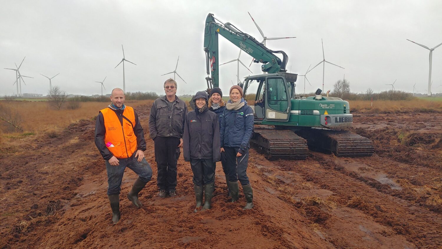 Das FFH-Gebiet und NSG Weißes Moor in Dithmarschen ist eine Besonderheit: Das letzte intakte Hochmoor in der Marsch Schleswig Holsteins mit noch typisch nordatlantischem Arteninventar wie der seltenen  Moltebeere.