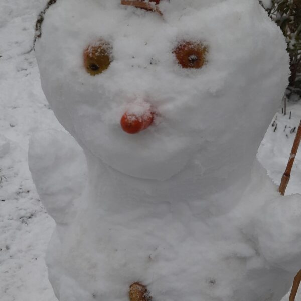 20260106 154634 20260106 154634