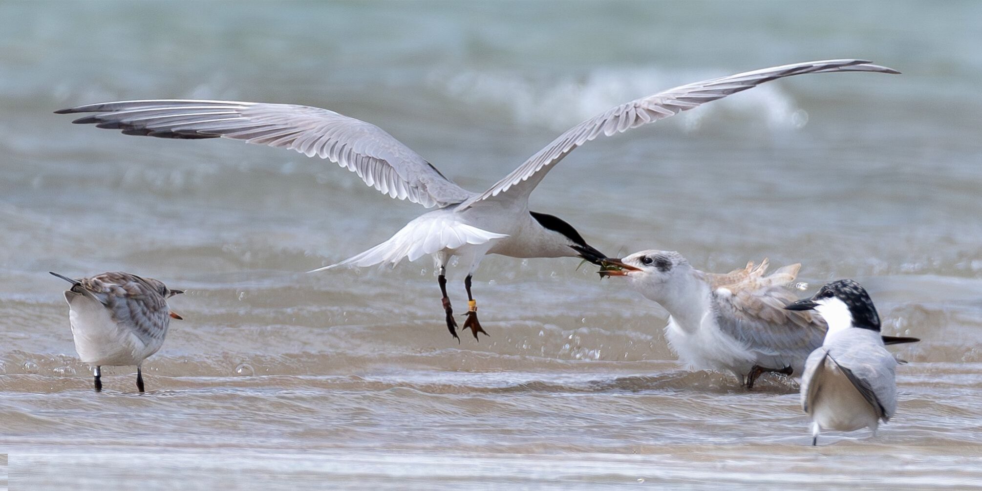 230712d50168263 Enhanced NR E1 4bd2ae38ac