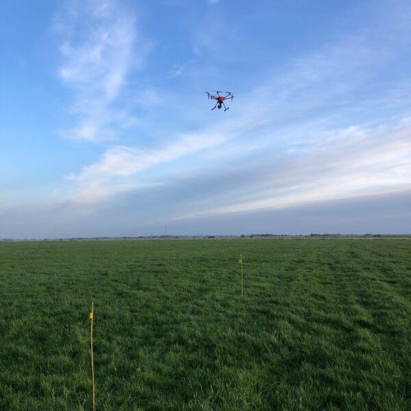 31c09600 5f4f 49a1 9df6 747e318b2f2c