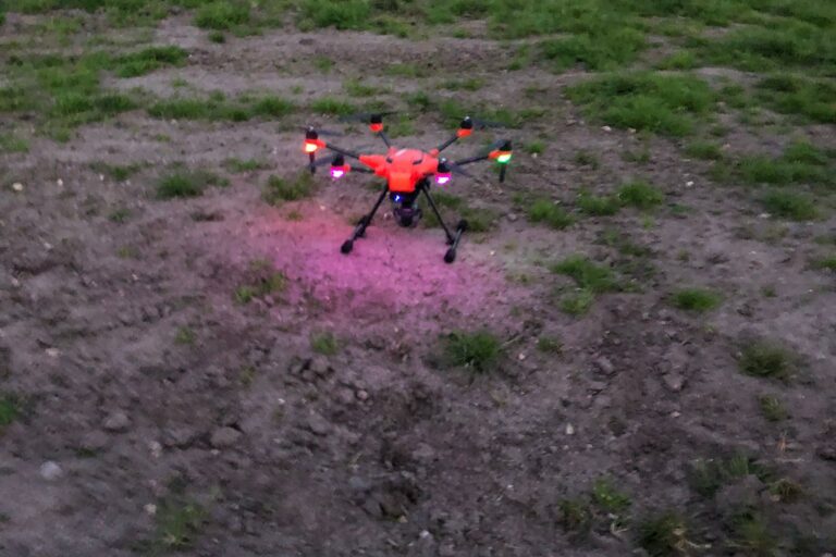 31dd9eaa 8fb6 4698 Afd5 85688ce54aee