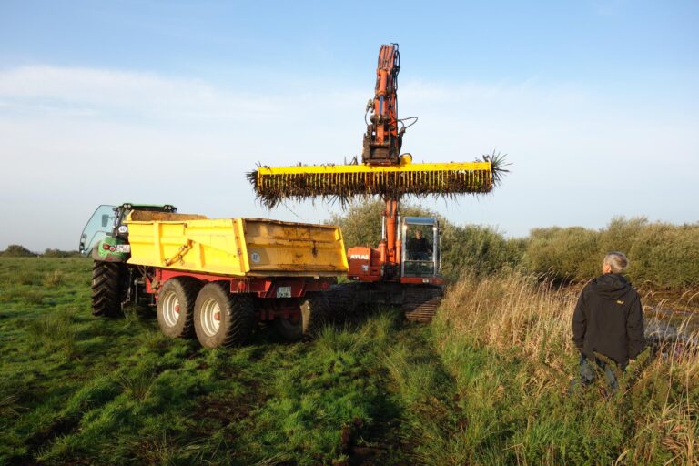 5 Head Umsetzung Krebsschere Odderade