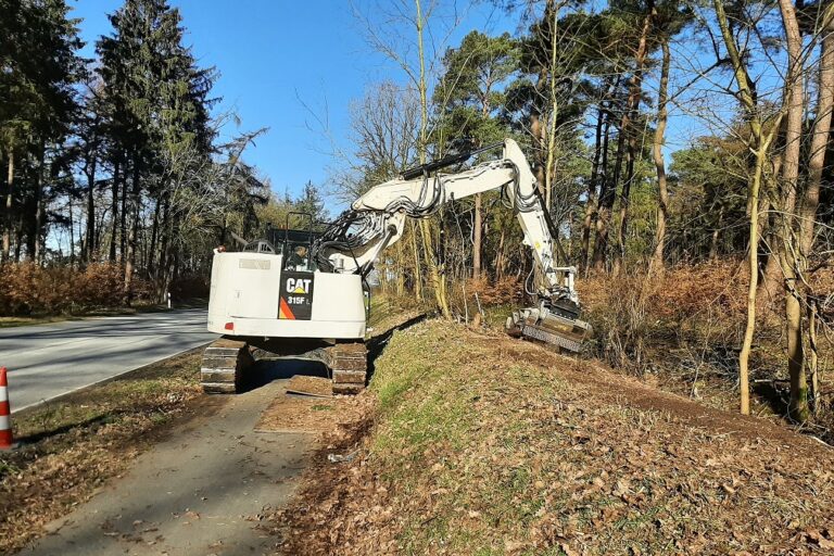 Bagger Mit Forstmulcher Waldrand