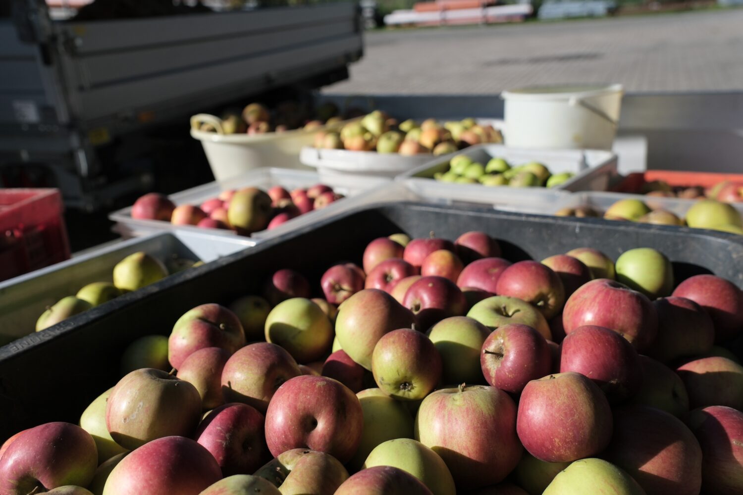 Über 2600 Liter Saft bei der Obstpresse 2026