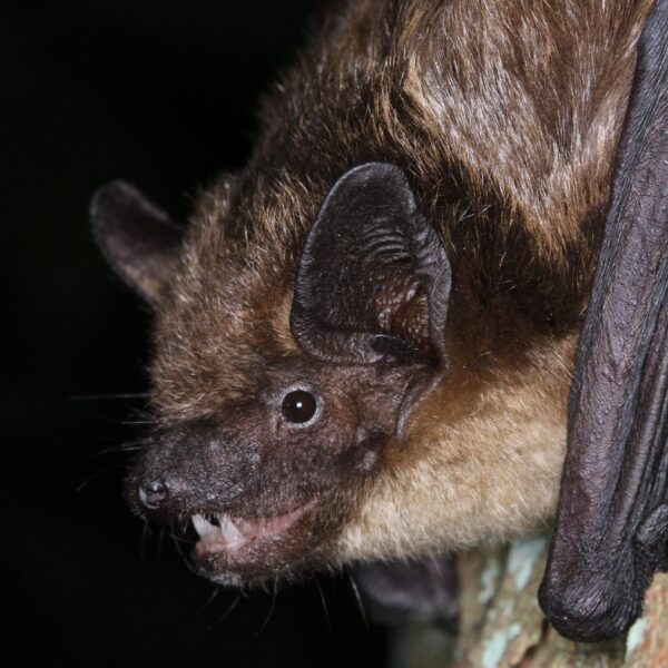 Eser IMG 2521 Matthias Göttsche