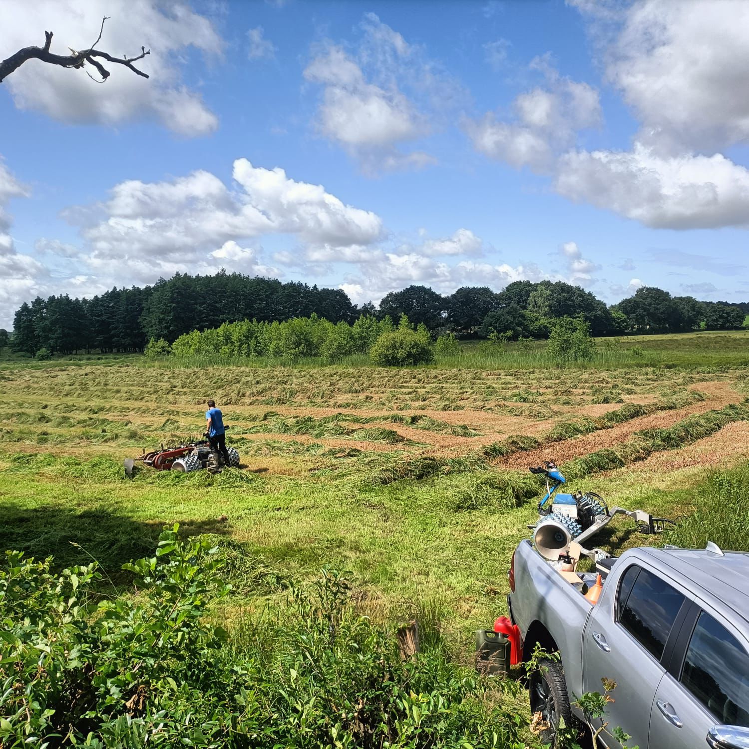 In der Windberger Niederung wurden vergangene Woche insgesamt ca. 2,5 ha Grünlandflächen mit dem Brielmaier der Fa. walk gemäht und das Mahdgut geschwadet. In der nächsten Zeit wird dieses Material verladen und und abtransportiert.