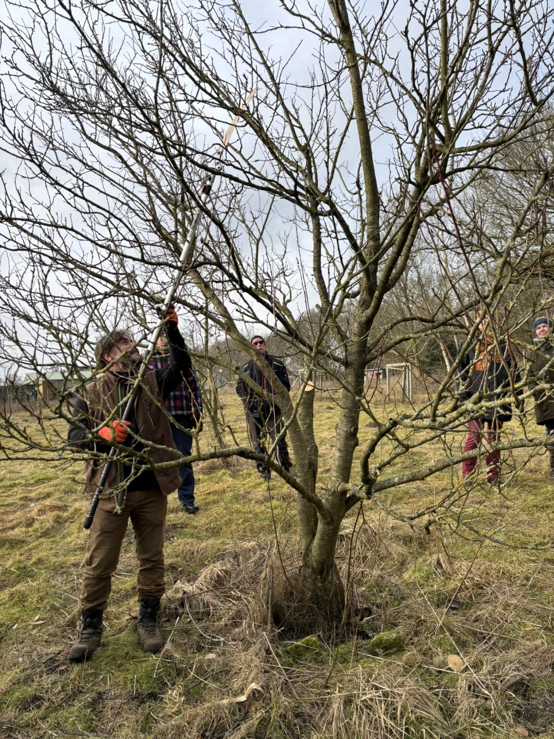 Streuobstwiesen sind wertvolle Lebensräume und zugleich wichtige Lieferanten für regionales, gesundes Obst. Damit Obstbäume langfristig vital bleiben und gute Erträge liefern, ist eine regelmäßige und fachgerechte Pflege unerlässlich.
Wir laden daher herzlich zu einem praxisorientierten Obstbaumschnittkurs ein.