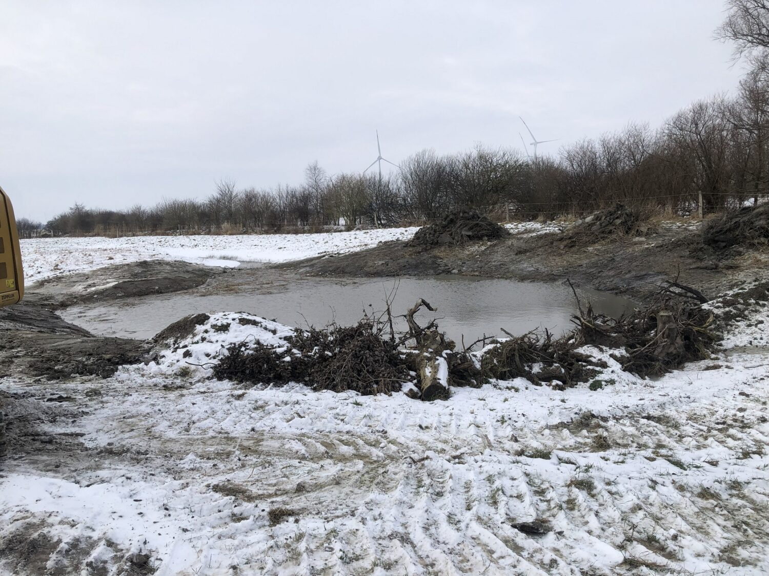 Im Rahmen unseres Projektes zur Förderung des Weißstorchs wurden Ende der 2010er Jahre in ganz Dithmarschen zahlreiche Gewässer neu angelegt, saniert oder gezielt als Lebensraum für Amphibien optimiert.