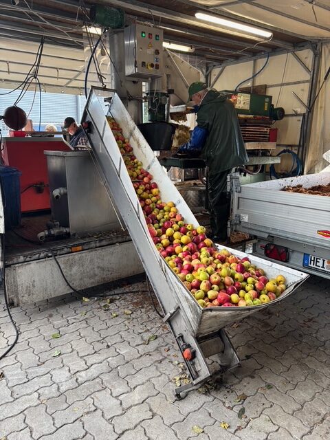 Am vergangenen Samstag war die mobile Obstpresse von Jens Holthusen zum zweiten Mal in diesem Jahr in Hemmingstedt im Einsatz. Auch diesmal war das Interesse an der Aktion groß: Aufgrund der guten Apfelernte waren bereites viele Wochen vor dem Termin alle Plätze vergeben.