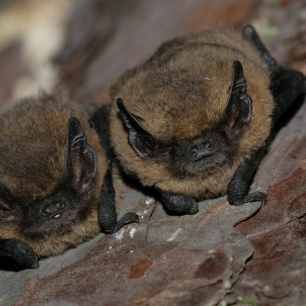 IMG 4791 Hinrich Matthes & Matthias Göttsche