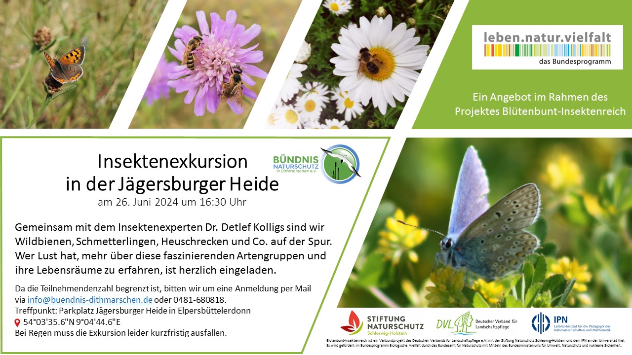 Insektenexkursion Einladung 26.06.2024 BNiD3