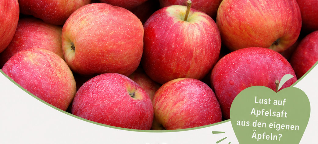 Die Obsternte ist wieder reichlich? Dann machen wir daraus etwas Köstliches: haltbaren Saft aus euren eigenen Äpfeln und Birnen!
Auch in diesem Herbst bieten wir wieder eine Mobile Obstpresse an.
