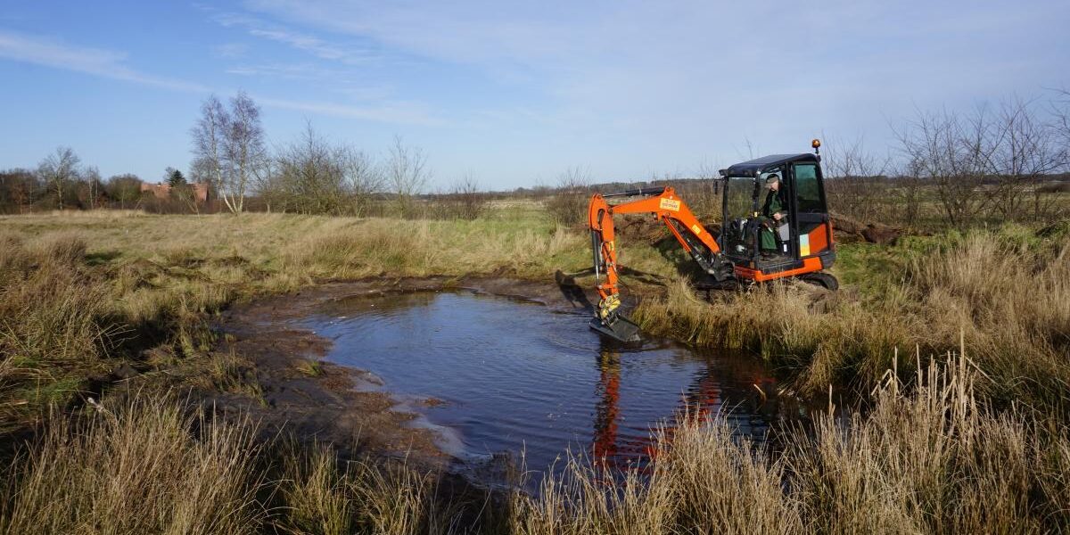 Sanierung Jägersburger Heide Nordost GW02 3505323 5992362 250128 4
