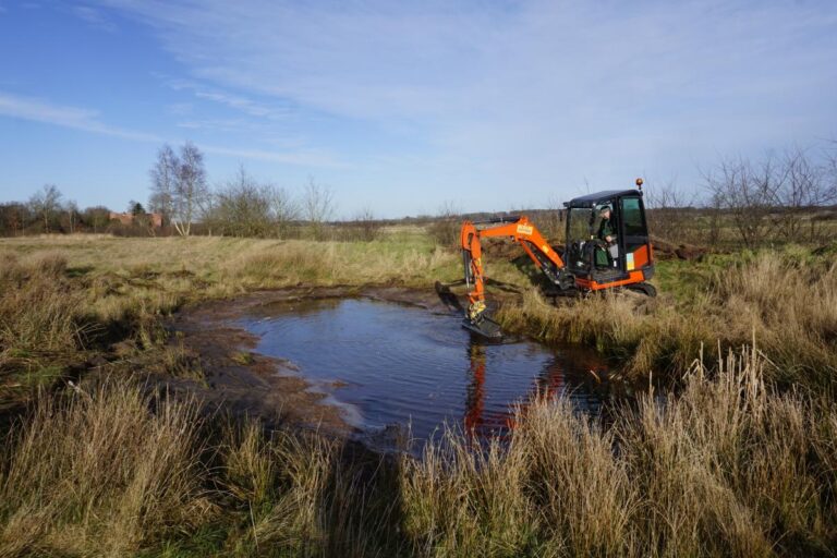 Sanierung Jägersburger Heide Nordost GW02 3505323 5992362 250128 4