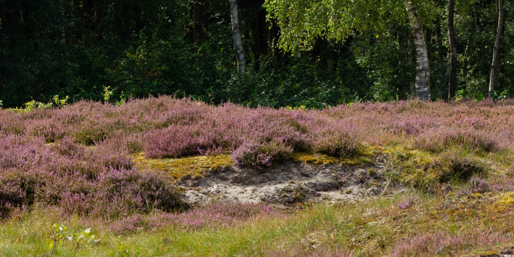 Tina Zabel JH 21.08 (29)