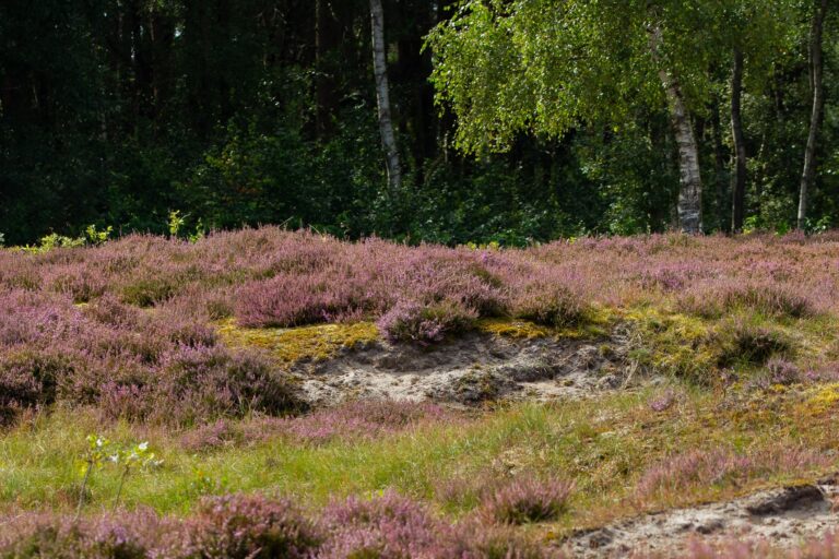 Tina Zabel JH 21.08 (29)