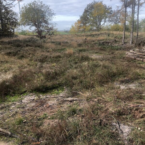 ÜberblickNordteil1 Nachher