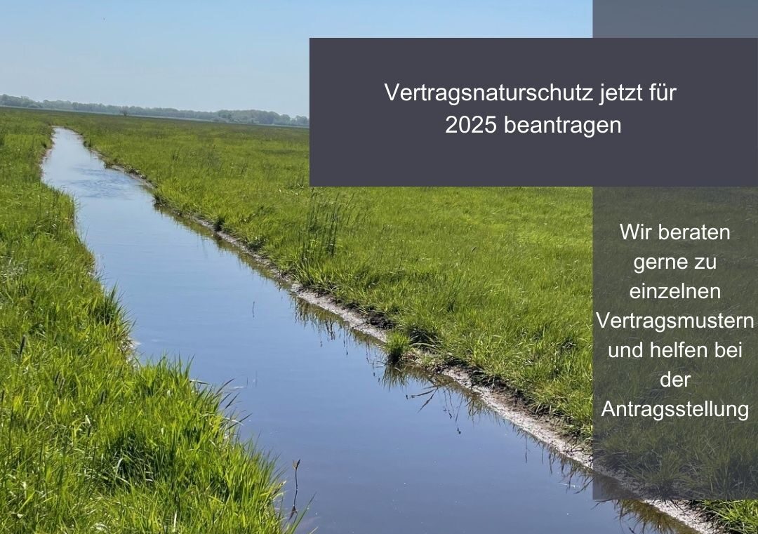 Wir bieten im Raum Dithmarschen eine Naturschutzfachliche Beratung für landwirtschaftliche Betriebe, Privatbesitzer und Kommunen an.