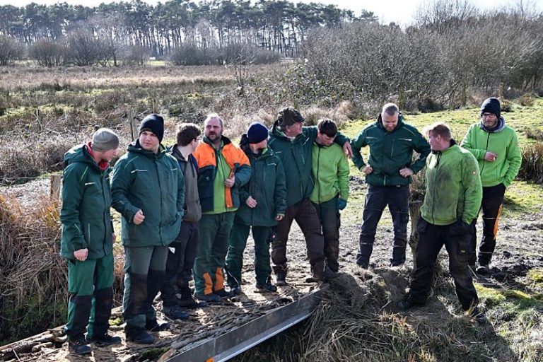 Eine Wildtierquerung Ueber Die Au 01
