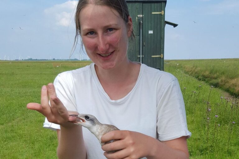 Large 20210704 161935 3 D53a184e0f