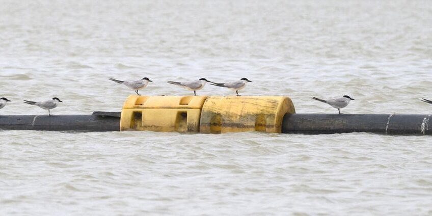 Large 250708z8002869 E1 C03515bd43