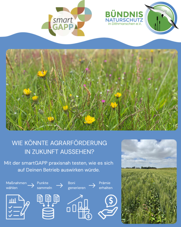 SmartGAPP